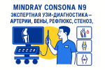 Mindray Consona N9 в сосудистой диагностике — визуализация артерий и вен, стенозов, аневризм и шунтов