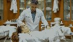 Специализированная аккредитация медицинского массажа: полное руководство