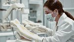 Как заполнить отчет о профессиональной деятельности для аккредитации врача стоматологии ортопедической: образец 2025 + инструкция.