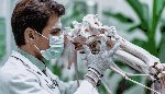 Пошаговое заполнение раздела «Ключевые навыки» для аккредитации по специальности травматология ортопедия — образцы и требования